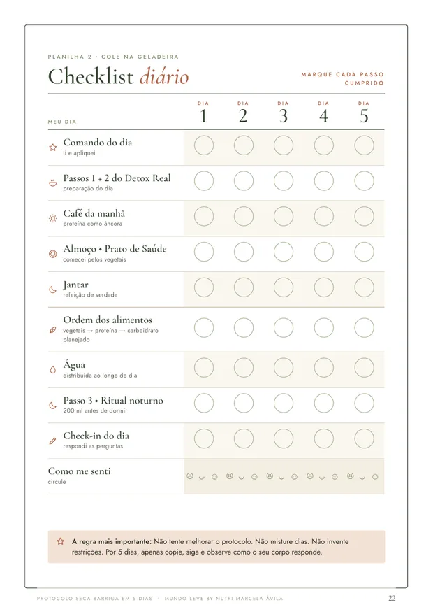 Planilha Checklist diário